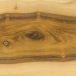 Krugiodendron_ferreum_madera de palo de hierro